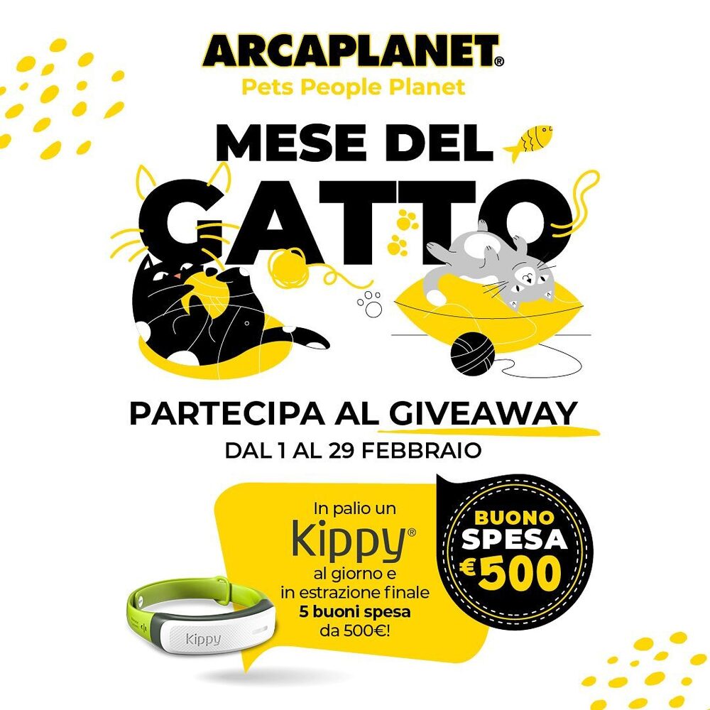 Contest Instagram di Arcaplanet